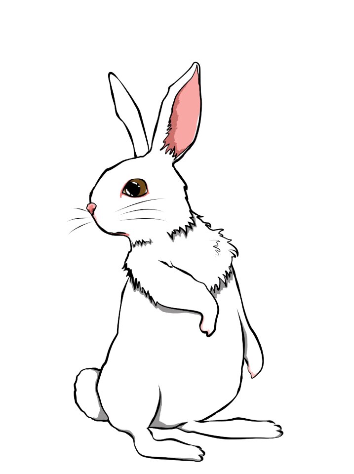 Animal cute Free illustrations