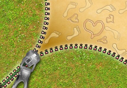 Rush grass background