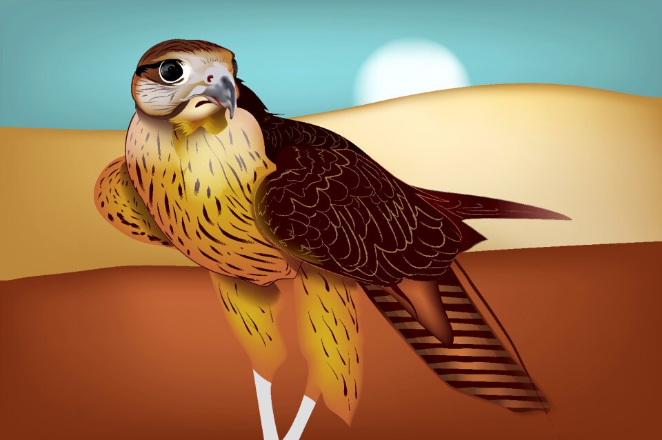 Media brown media Free illustrations