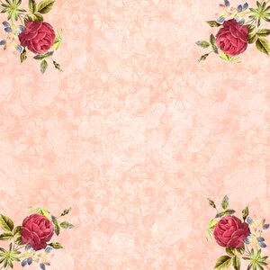 Texture scrapbook vintage