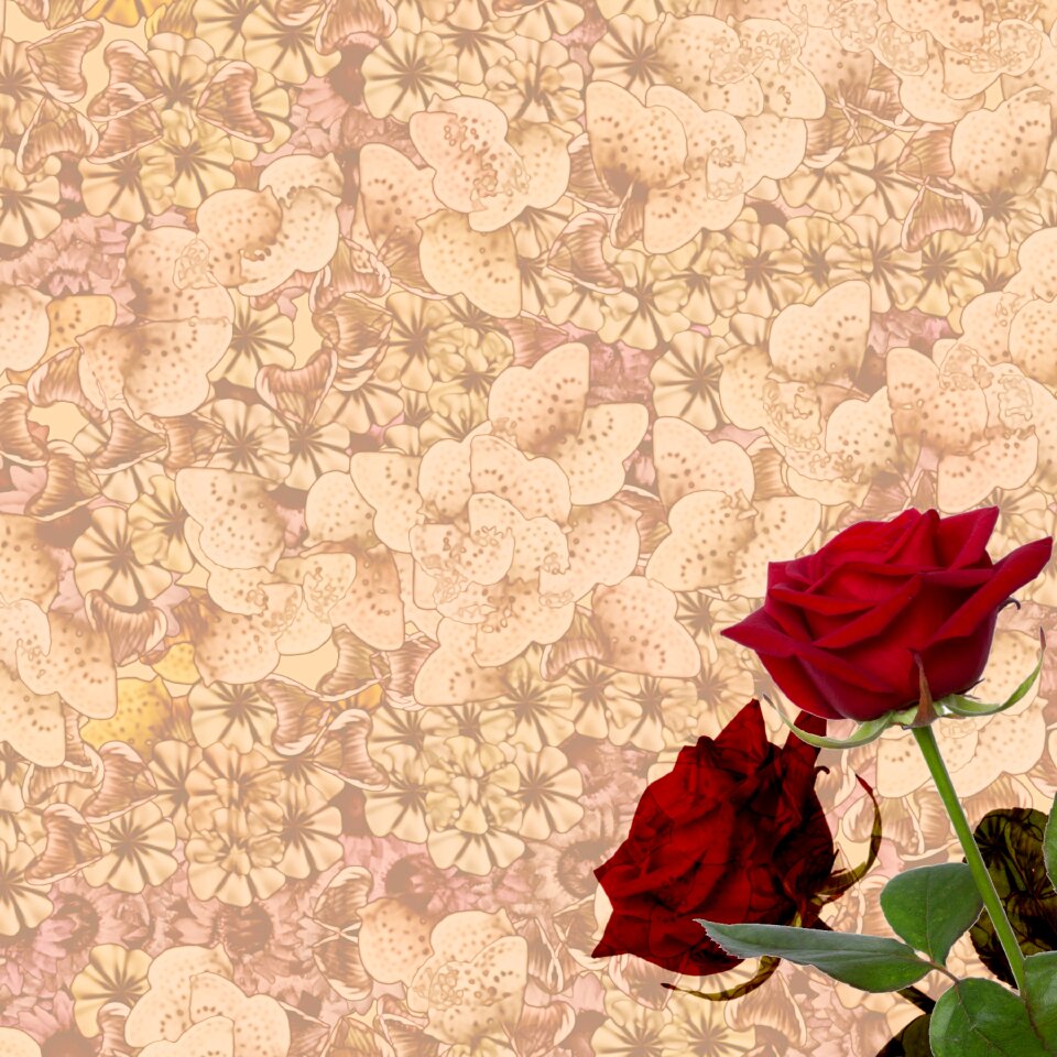 Texture scrapbook vintage