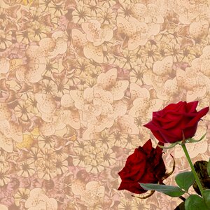 Texture scrapbook vintage