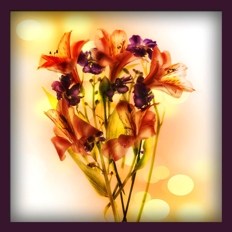 Nature layer blending Free illustrations