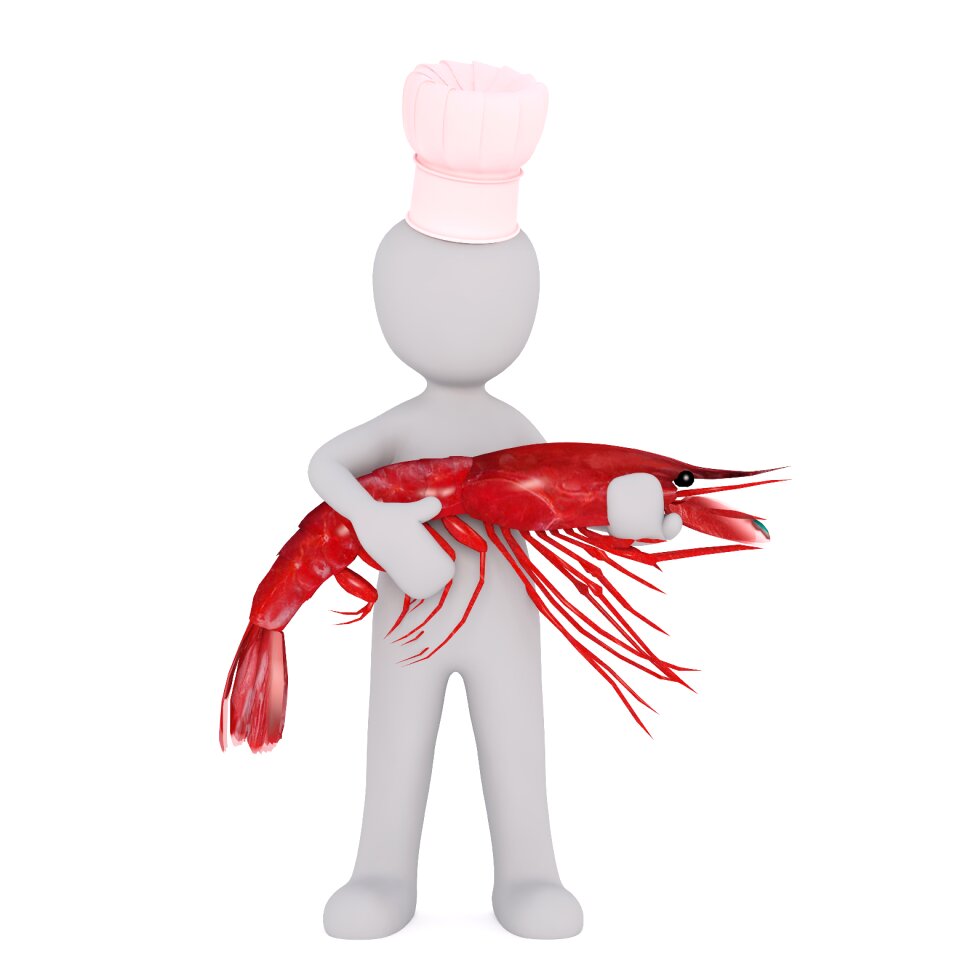 3d model 3d model