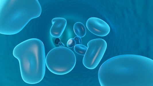 Liquid blue blue blood