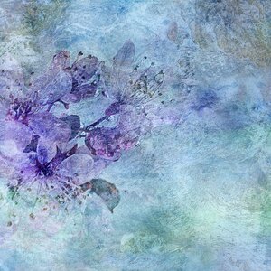 Blue green purple bloom Free illustrations
