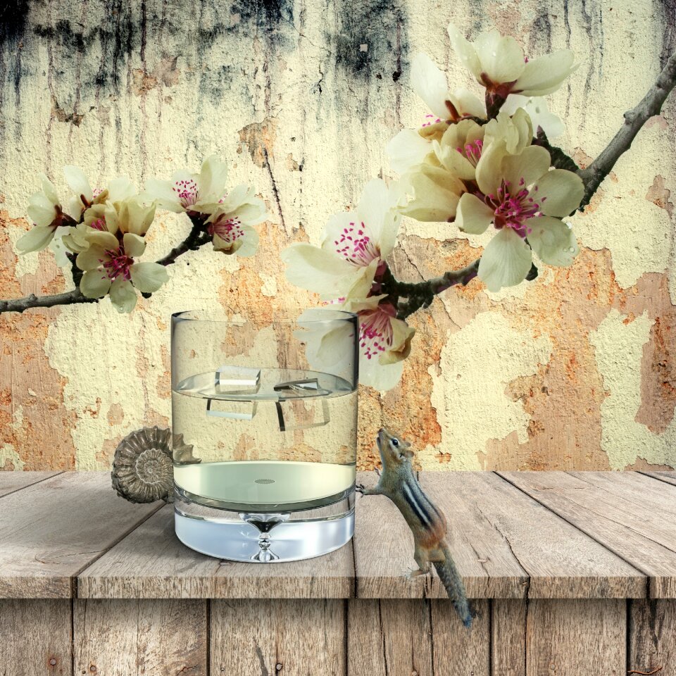 Decor decoration country life