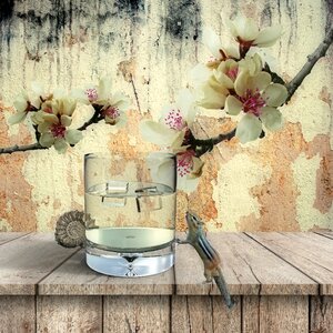 Decor decoration country life