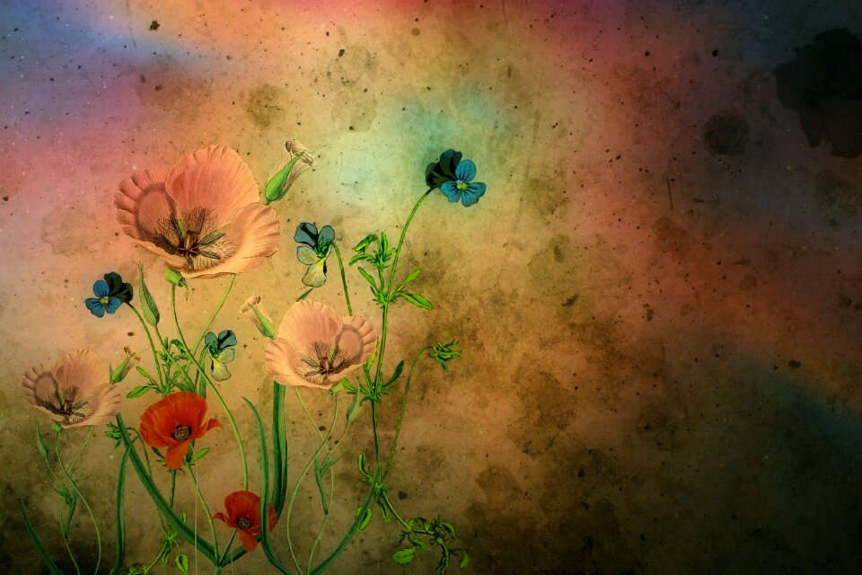 Floral nature plant