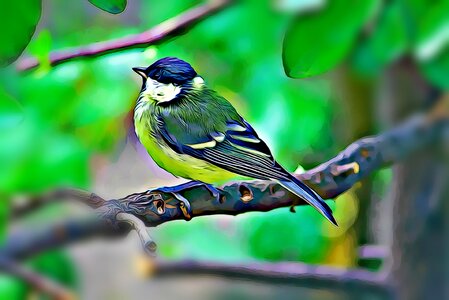 Bird beak pen