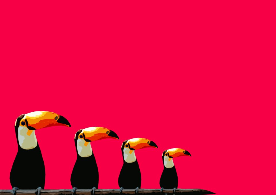 Birds background pink