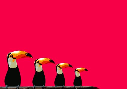 Birds background pink