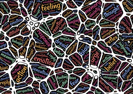 Mindset neuroscience thoughts