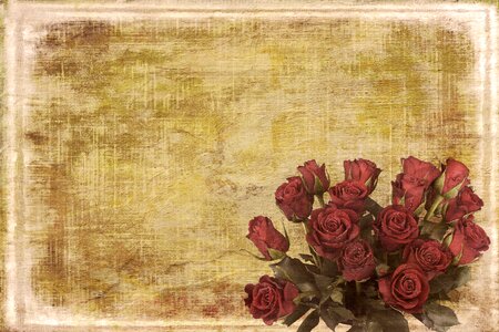 Retro flowers canvas