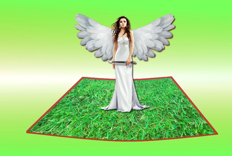 White wing Free illustrations