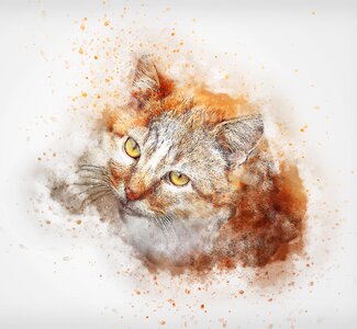 Art abstract vintage