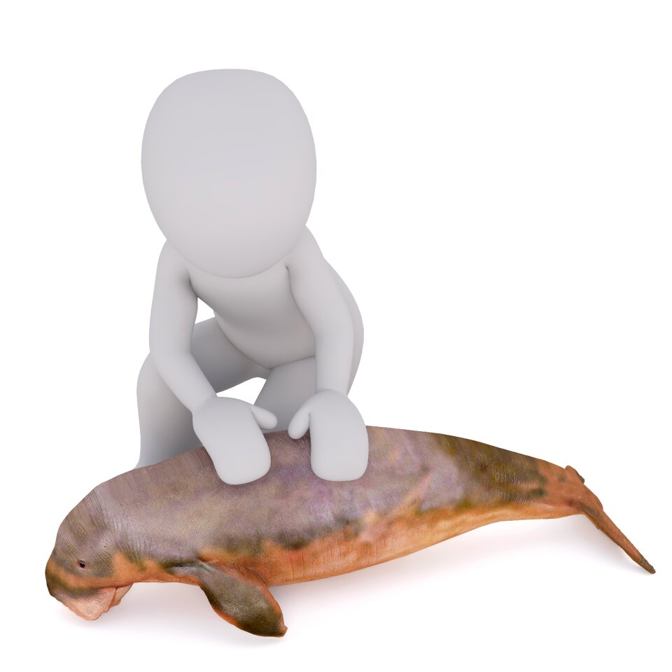 3d model full body