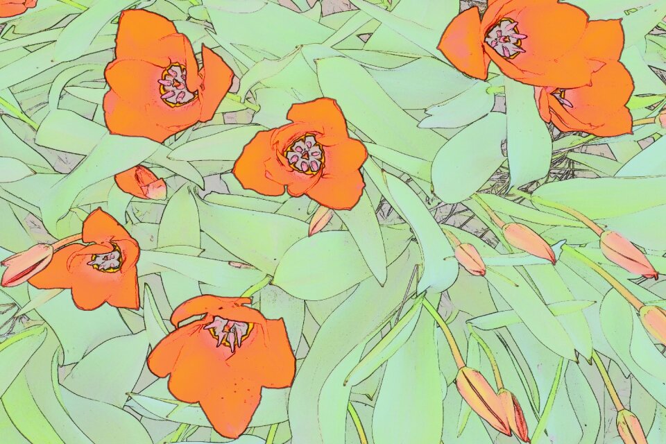 Texture orange modern