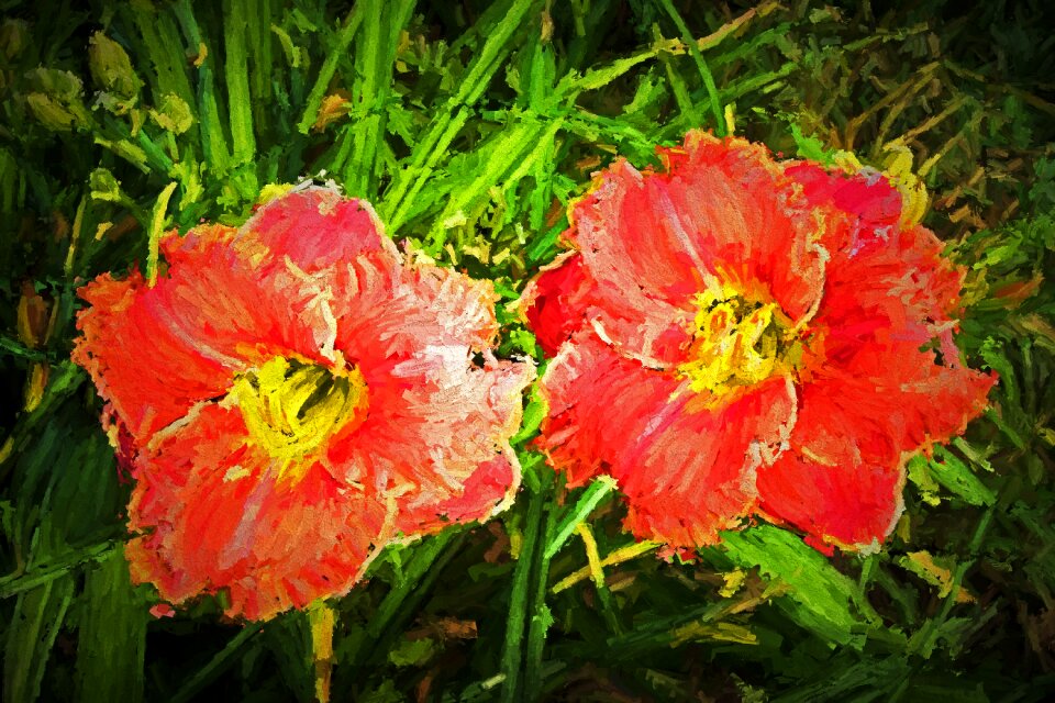 Photopainting floral red