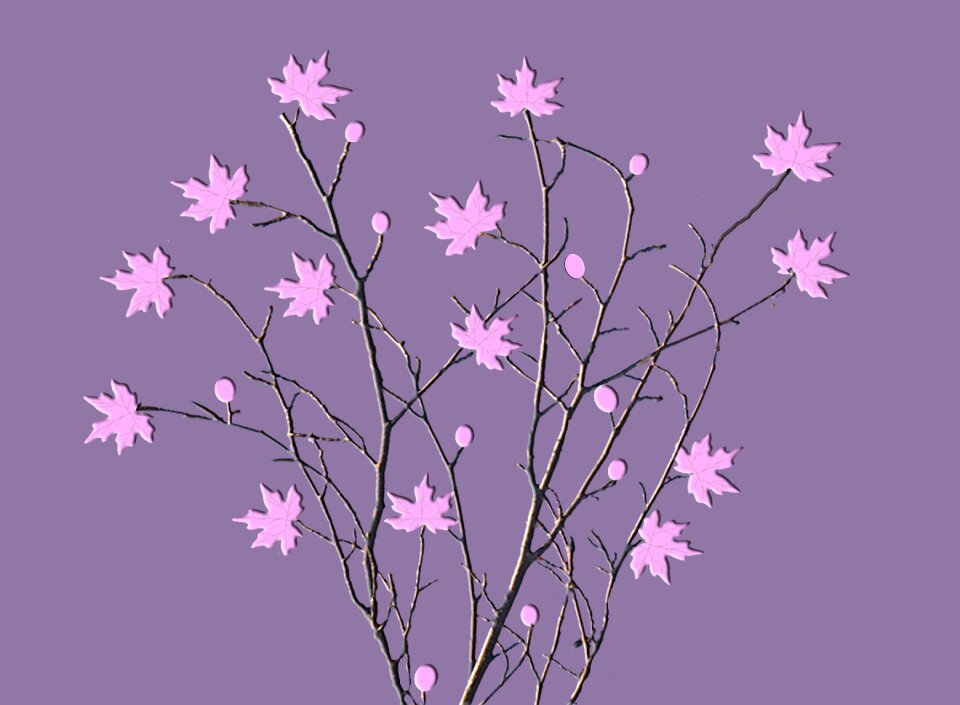 Flora leaves pink
