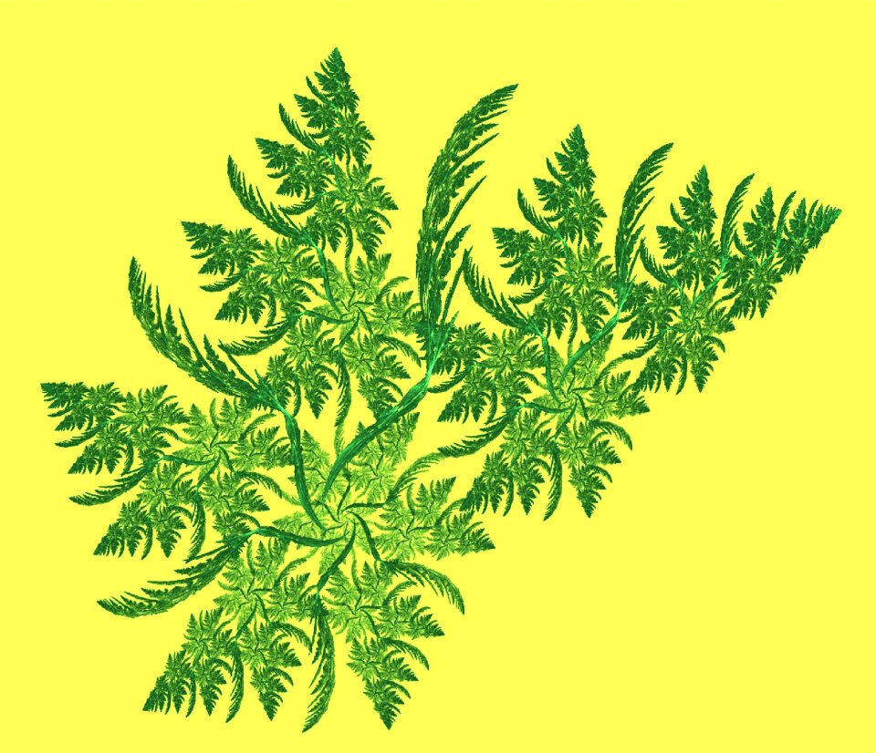 Yellow branches nature