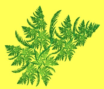 Yellow branches nature