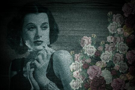 On wood beauty roses