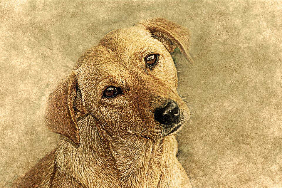 Art vintage decorative