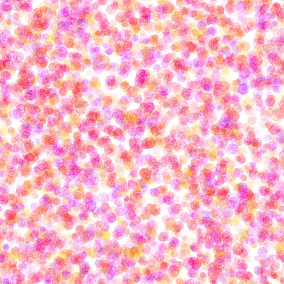 Pink flower floral