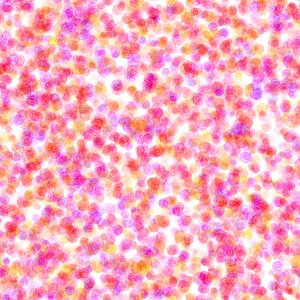 Pink flower floral