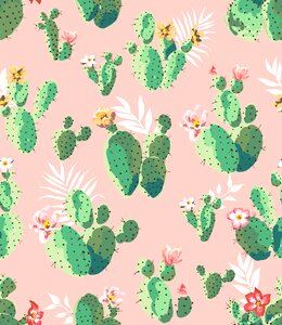 Northeast romantic Free illustrations