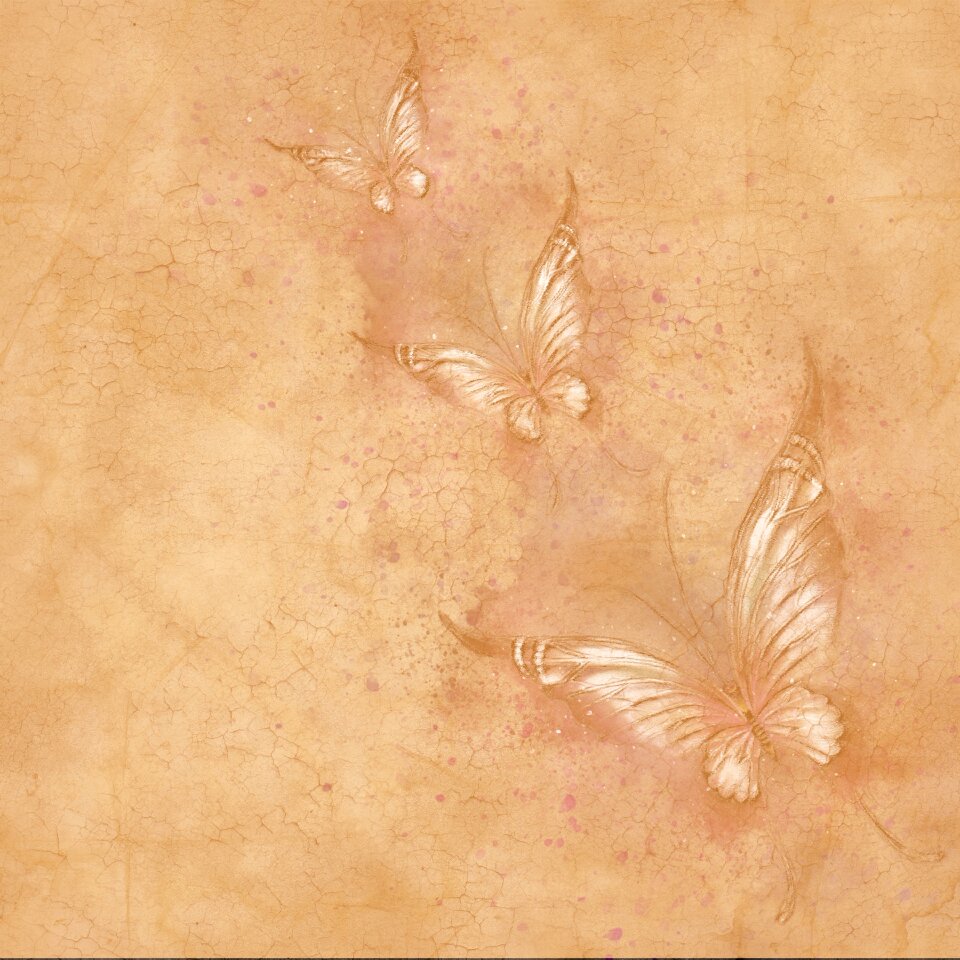 Texture scrapbook vintage