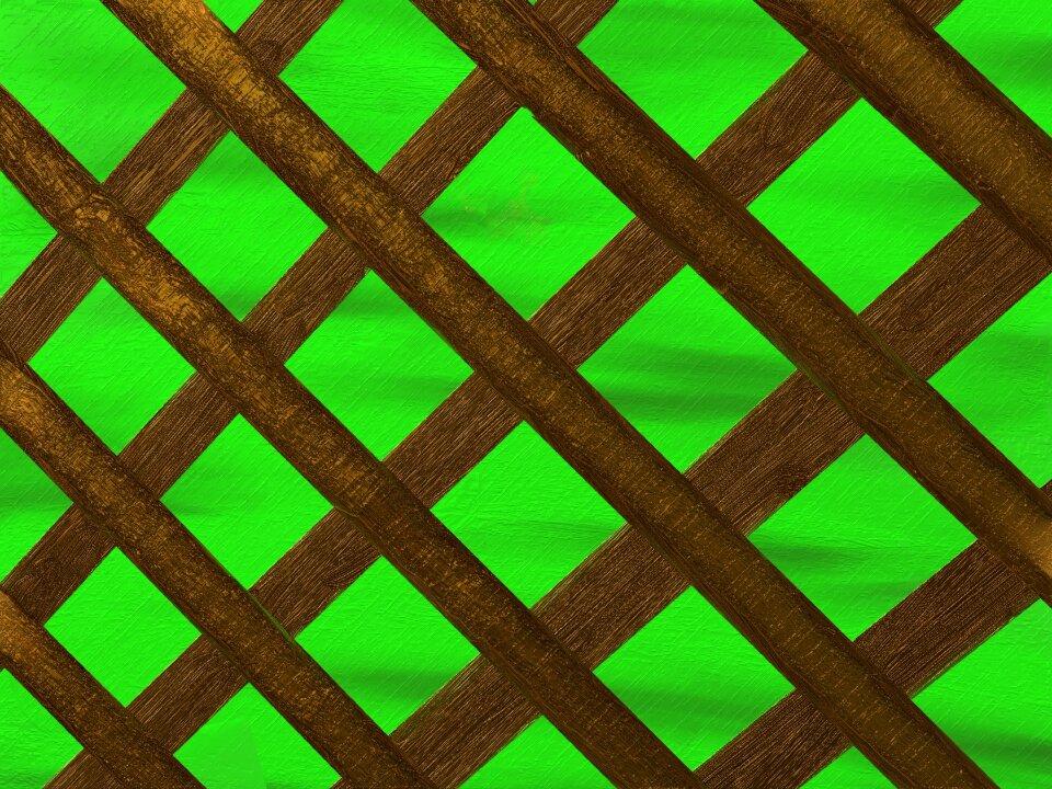 Garden fence demarcation paling