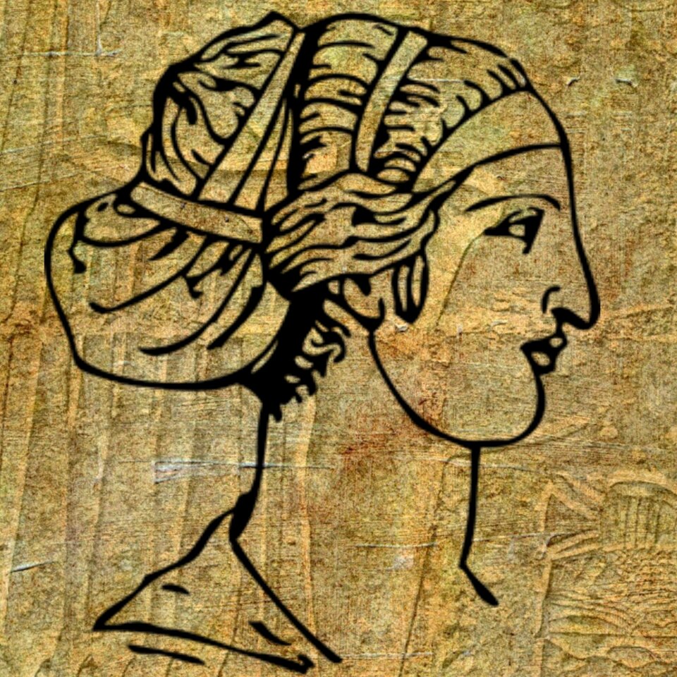 Hairstyle lady woman