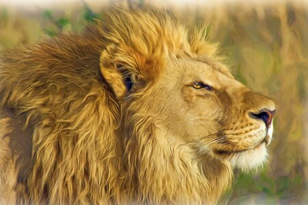 Lion mane predator