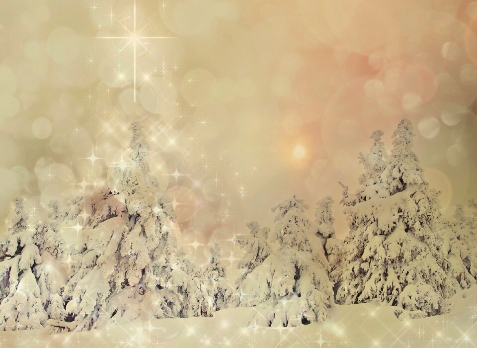 Winter christmas motif christmas greeting