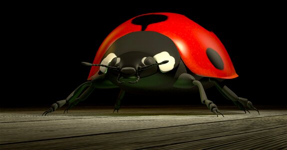 Nature insect 3d