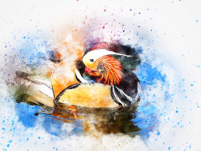 Animal art abstract