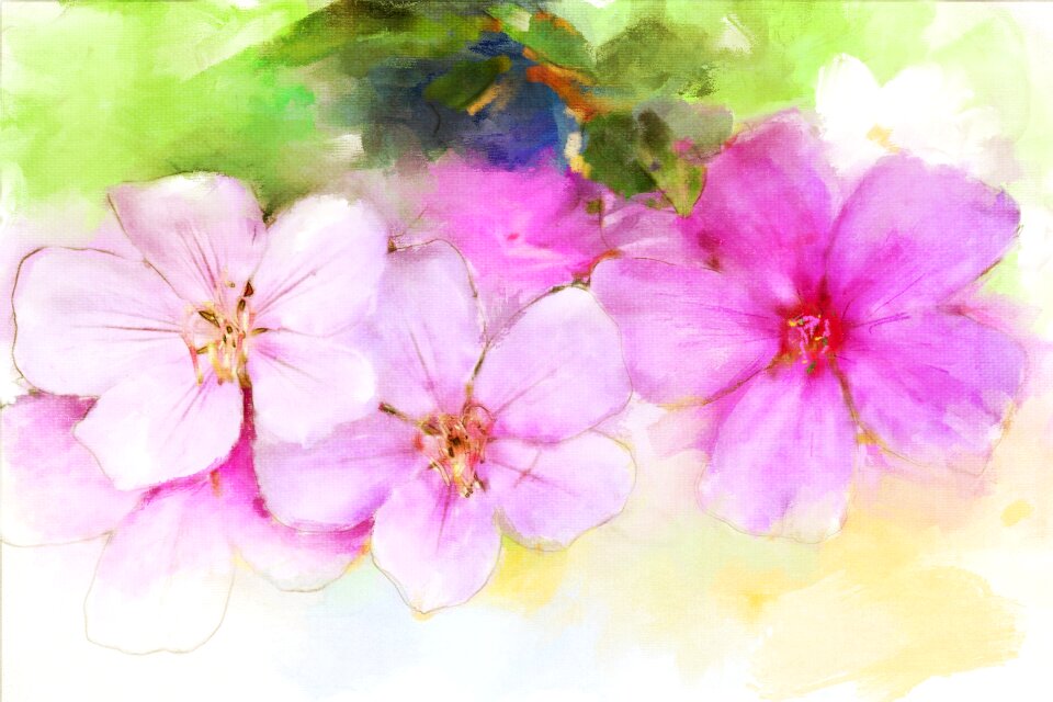 Spring blossom nature