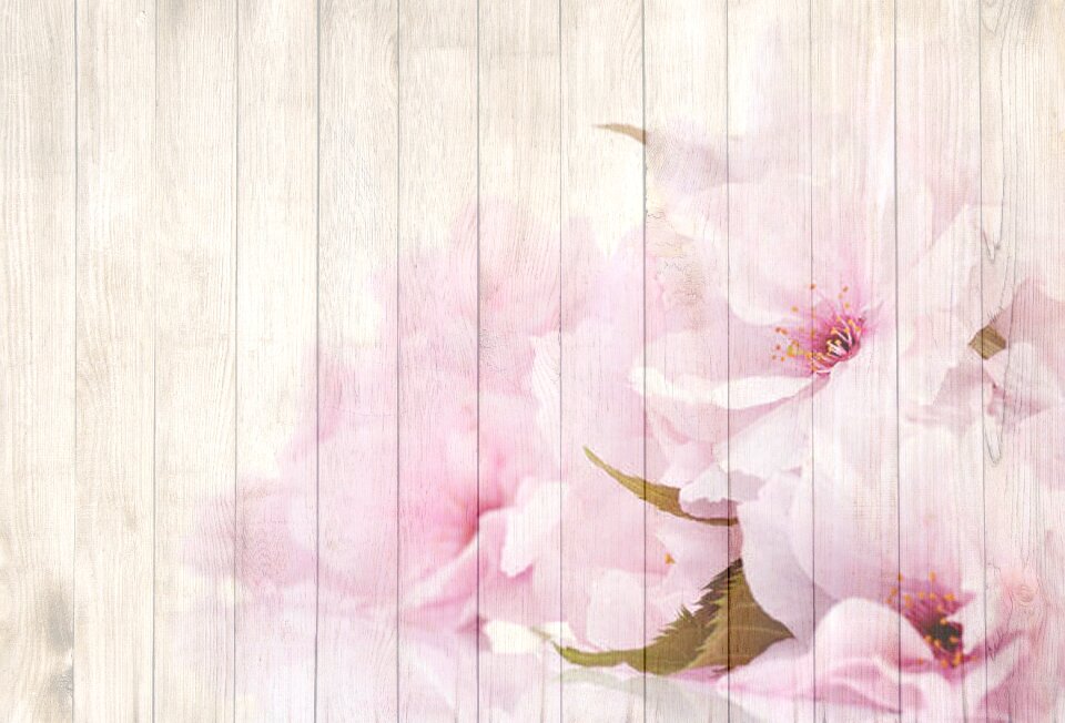 Blossom bloom vintage