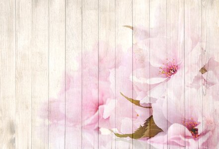 Blossom bloom vintage