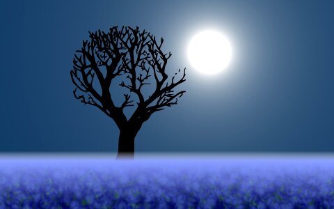 Tree mist background