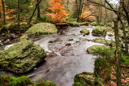 Flow idyllic waters