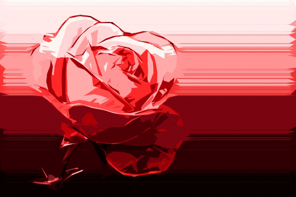 Red red rose one rose
