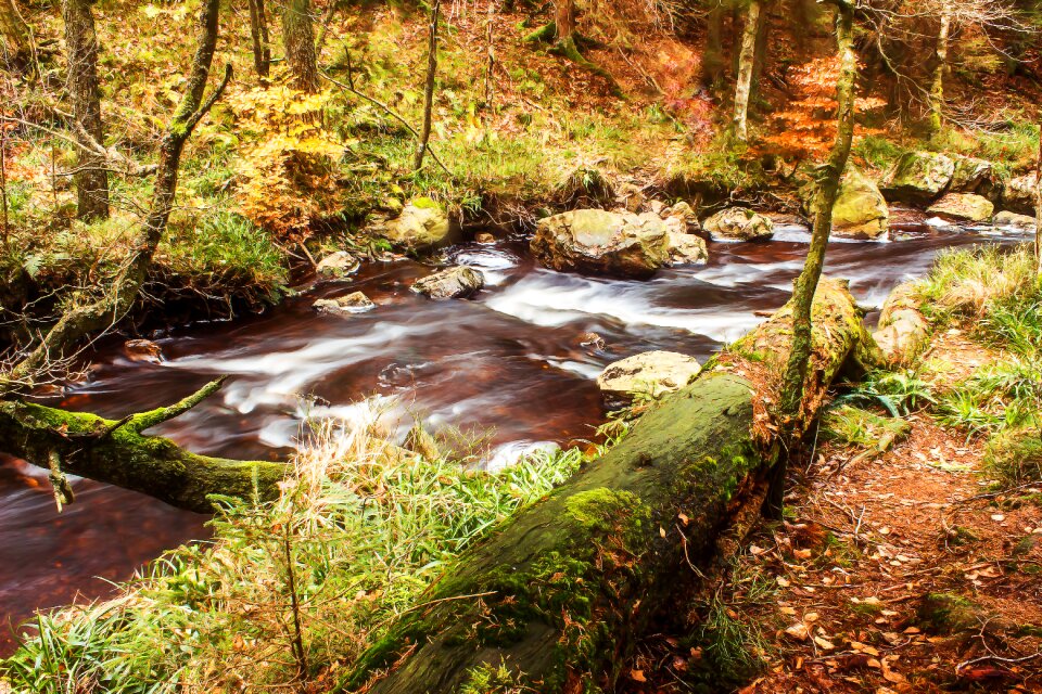 Flow idyllic waters