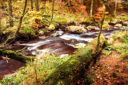 Flow idyllic waters