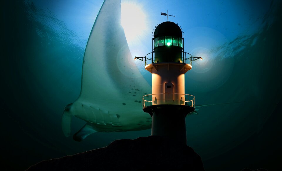Deep sea underwater rays