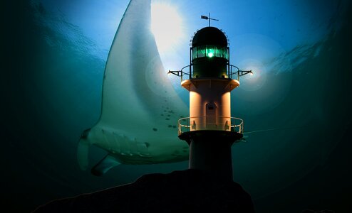 Deep sea underwater rays