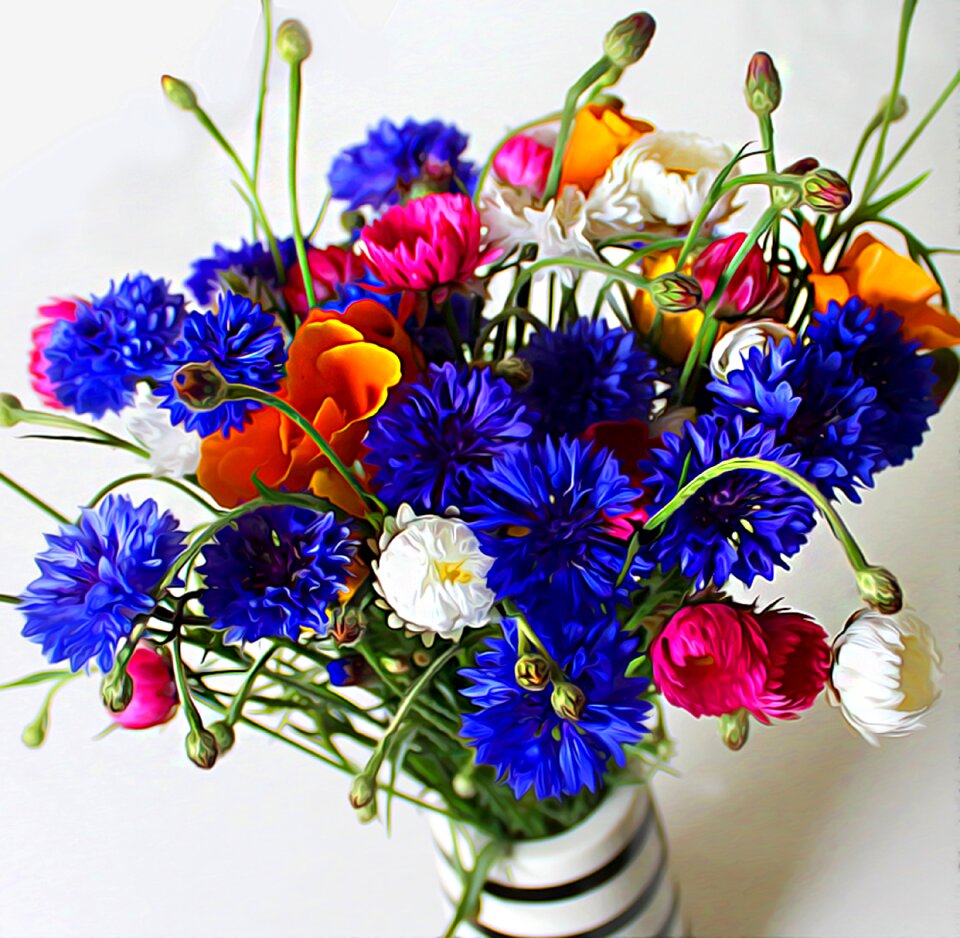 Wild flowers denmark summer