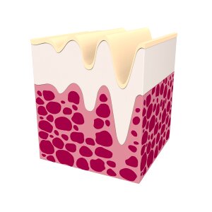Beauty skin Free illustrations
